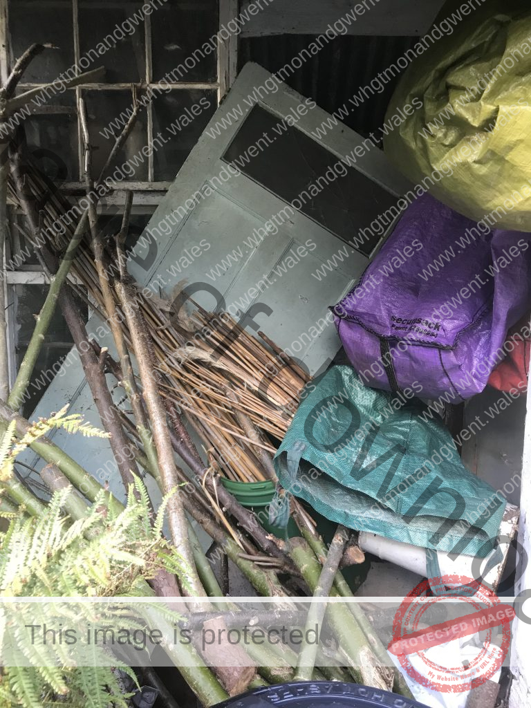 Roseville Manor visit